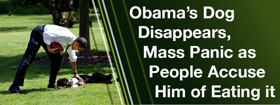 Obama's Dog Fake Headline - 900